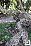 Click to see YIMG_2765.JPG