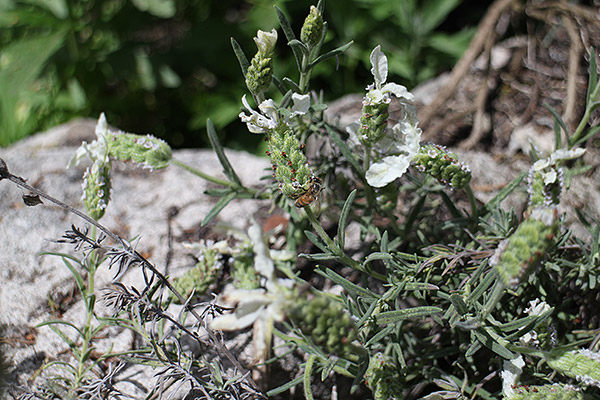 Canon EOS M review -- Sample photo