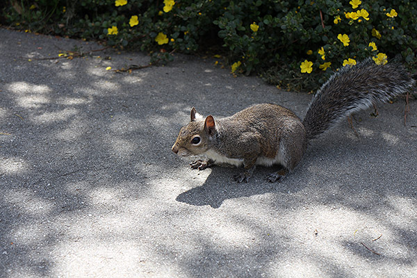 Canon EOS M review -- Sample photo