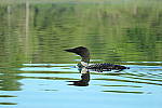 Click to see YIMG_1754.JPG