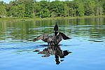 Click to see YIMG_1770.JPG