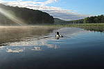 Click to see YIMG_1799.JPG