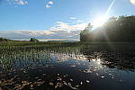 Click to see YIMG_1801.JPG