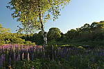 Click to see YIMG_1823.JPG