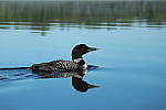 Click to see YIMG_1837.JPG