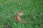 Click to see YIMG_1862.JPG