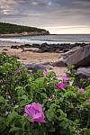 Click to see YIMG_1889-MOD.JPG