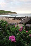 Click to see YIMG_1889.JPG