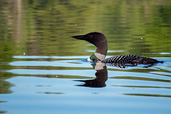 Canon M10 Review: Field Test -- Gallery Image