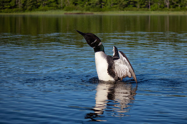 Canon M10 Review: Field Test -- Gallery Image