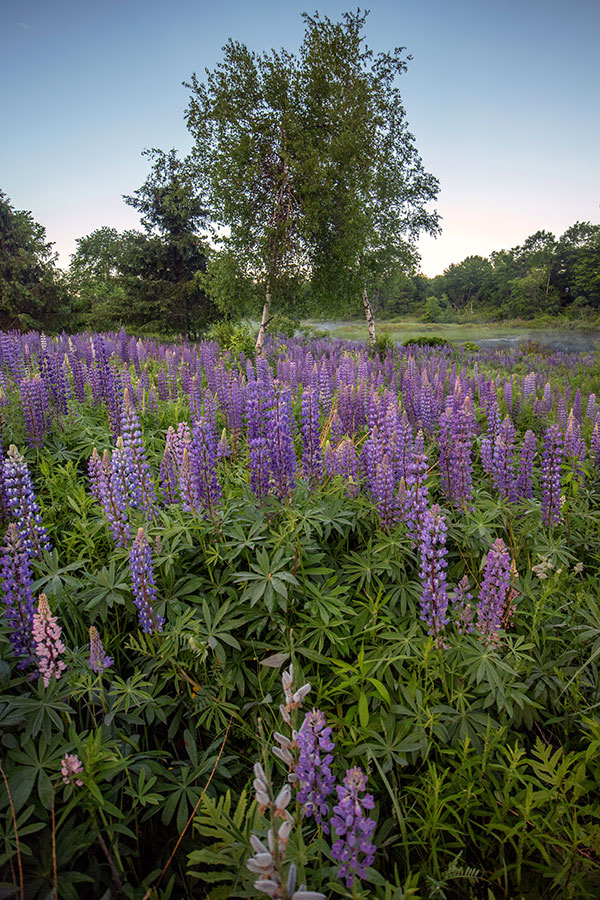 Canon M10 Review: Field Test -- Gallery Image