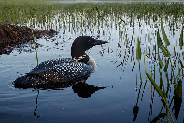 Canon M10 Review: Field Test -- Gallery Image