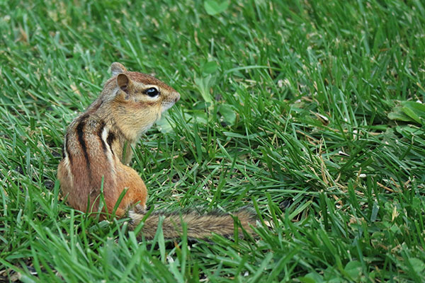 Canon M10 Review: Field Test -- Gallery Image