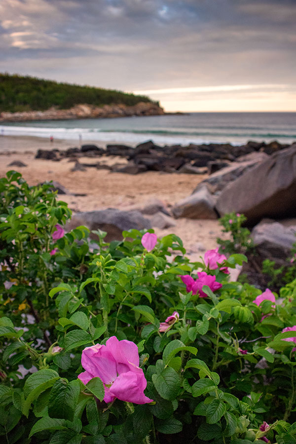 Canon M10 Review: Field Test -- Gallery Image