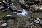 Click to see YIMG-1795.JPG