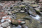 Click to see YIMG-1799.JPG