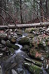 Click to see YIMG-1813.JPG