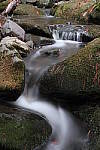 Click to see YIMG-1821.JPG