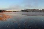 Click to see YIMG-1845.JPG
