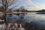Click to see YIMG-2101.JPG
