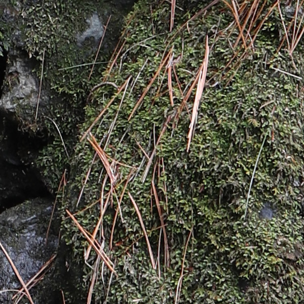Canon M100 Review: Field Test -- Gallery Image