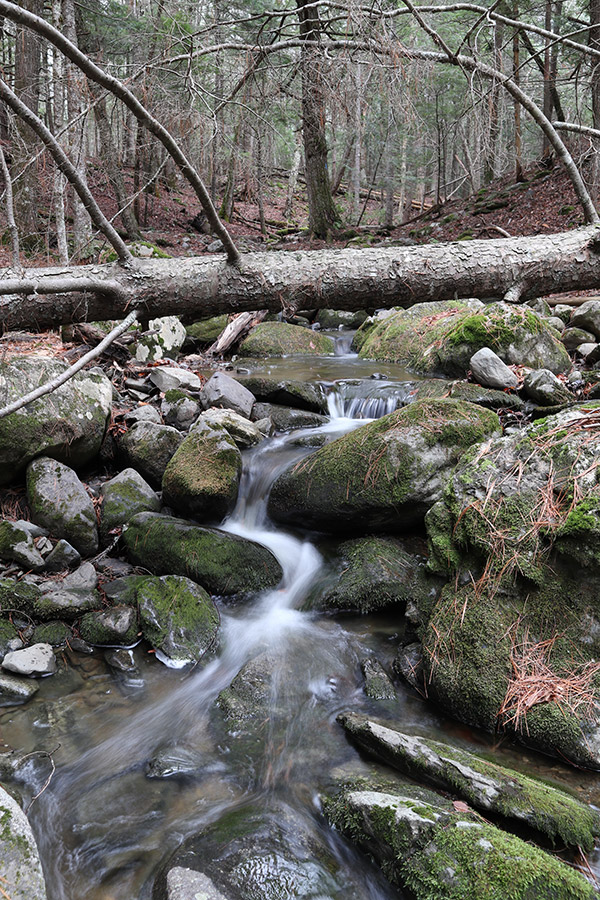Canon M100 Review: Field Test -- Gallery Image