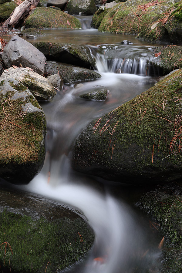 Canon M100 Review: Field Test -- Gallery Image