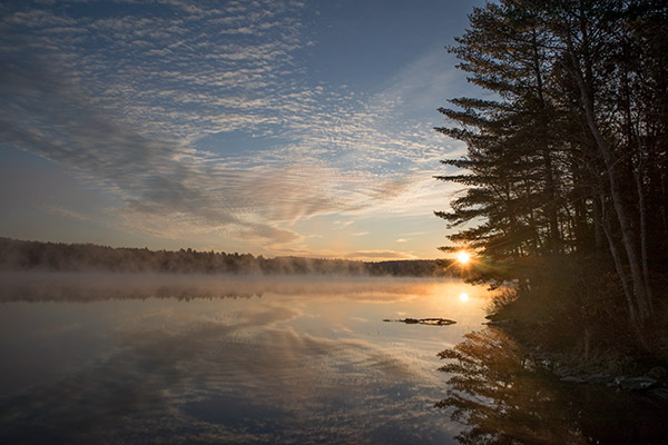 Canon M100 Review: Field Test -- Gallery Image