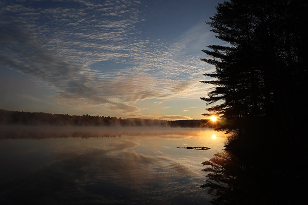 Canon M100 Review: Field Test -- Gallery Image