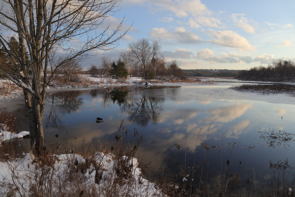 Canon M100 Review: Field Test -- Gallery Image