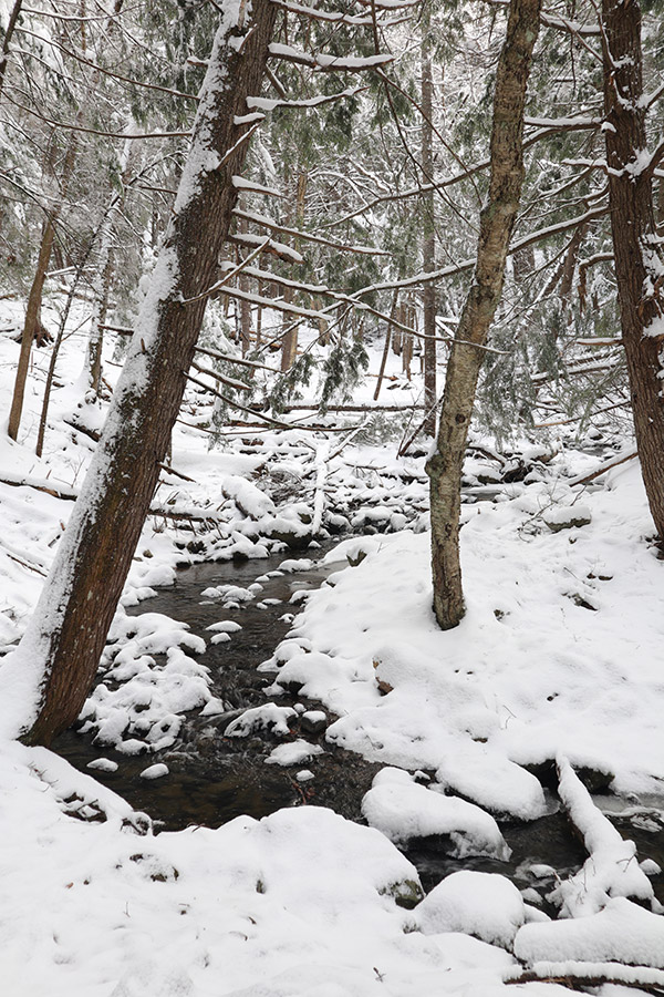 Canon M100 Review: Field Test -- Gallery Image