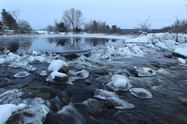 Canon M100 Review: Field Test -- Gallery Image