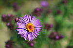 Click to see YIMG_0720.JPG