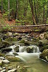 Click to see YIMG_0886.JPG