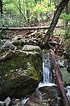Click to see YIMG_0897.JPG