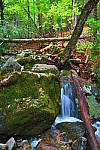 Click to see YIMG_0898.JPG