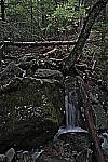 Click to see YIMG_0900.JPG