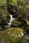 Click to see YIMG_0930.JPG