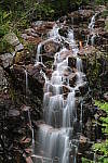 Click to see YIMG_1025.JPG