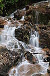 Click to see YIMG_1066.JPG
