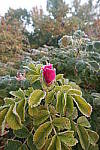 Click to see YIMG_1141.JPG