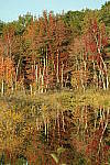 Click to see YIMG_1189.JPG
