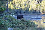 Click to see YIMG_1236.JPG