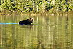 Click to see YIMG_1246.JPG