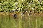 Click to see YIMG_1255.JPG