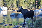 Click to see YIMG_1272.JPG