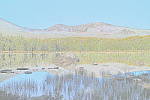 Click to see YIMG_1329-WaterPainting.JPG
