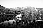 Click to see YIMG_1334-GrainyBW.JPG