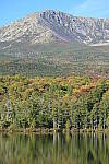 Click to see YIMG_1361.JPG