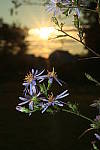 Click to see YIMG_1463.JPG